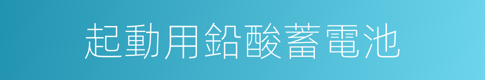 起動用鉛酸蓄電池的同義詞