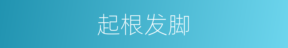 起根发脚的意思