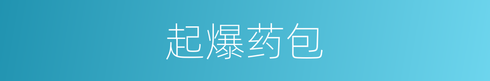 起爆药包的同义词