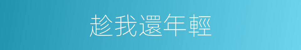 趁我還年輕的同義詞