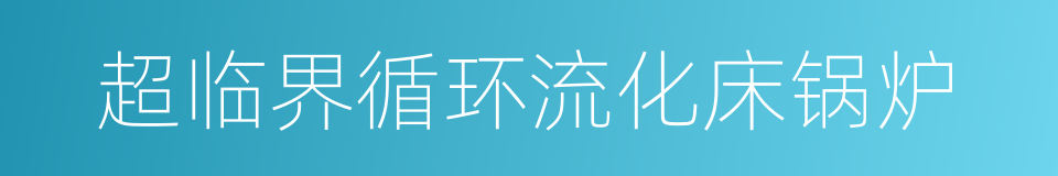 超临界循环流化床锅炉的同义词