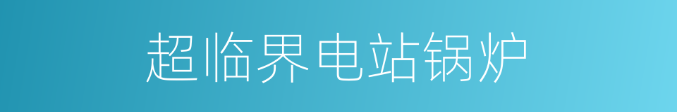 超临界电站锅炉的同义词