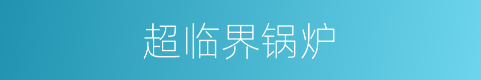 超临界锅炉的同义词
