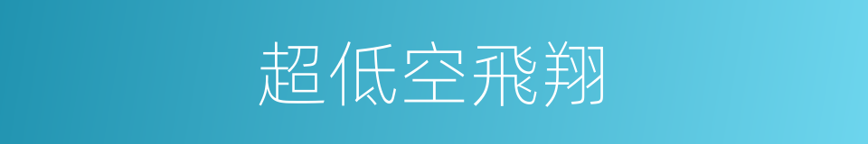 超低空飛翔的同義詞