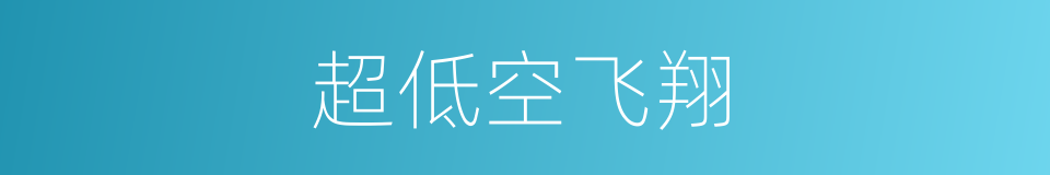 超低空飞翔的同义词