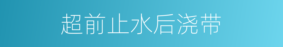 超前止水后浇带的同义词