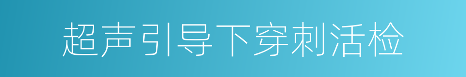 超声引导下穿刺活检的同义词