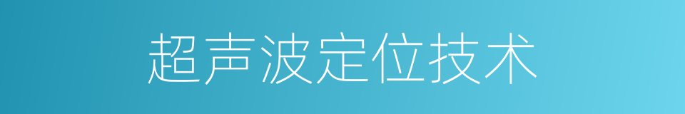 超声波定位技术的同义词