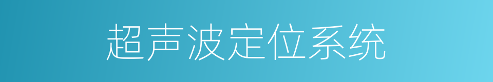 超声波定位系统的同义词