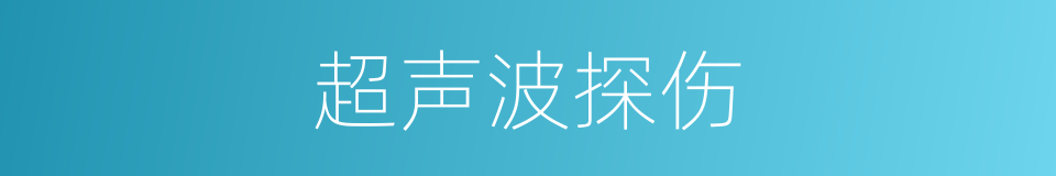 超声波探伤的同义词