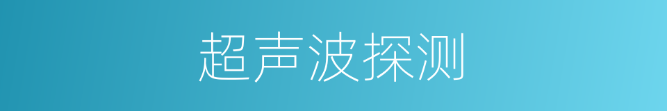 超声波探测的同义词