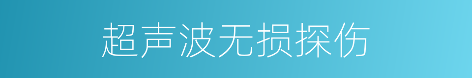 超声波无损探伤的同义词