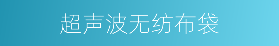 超声波无纺布袋的同义词