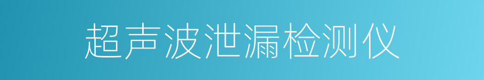 超声波泄漏检测仪的同义词