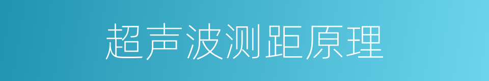 超声波测距原理的同义词