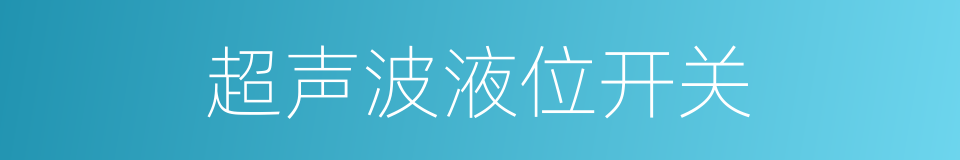 超声波液位开关的同义词