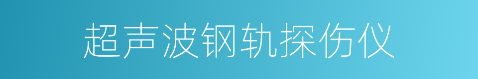 超声波钢轨探伤仪的同义词