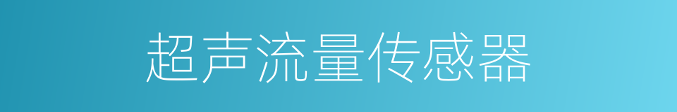 超声流量传感器的同义词