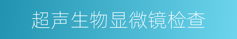 超声生物显微镜检查的同义词