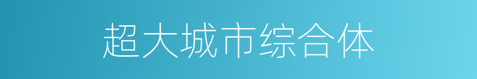 超大城市综合体的同义词