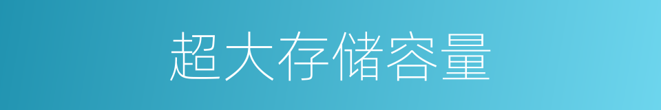 超大存储容量的同义词