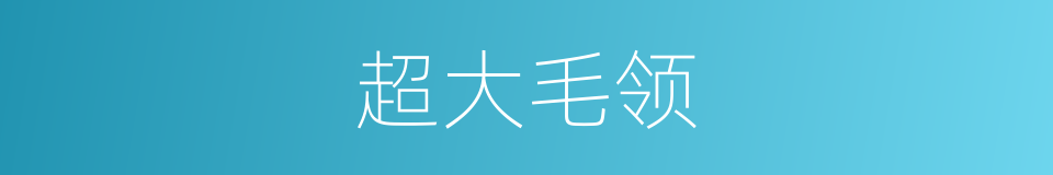 超大毛领的同义词