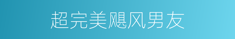 超完美飓风男友的同义词