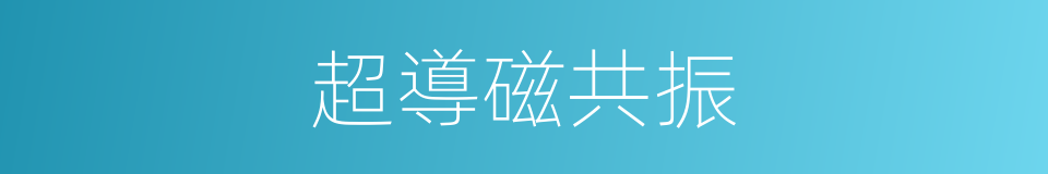 超導磁共振的同義詞