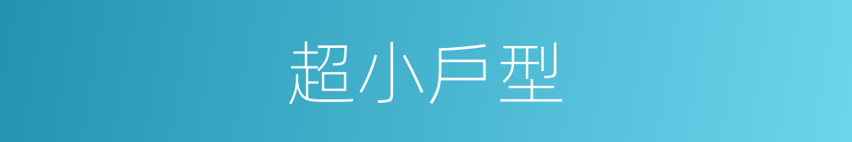 超小戶型的同義詞
