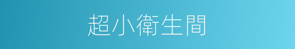 超小衛生間的同義詞