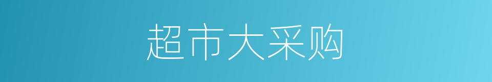 超市大采购的同义词