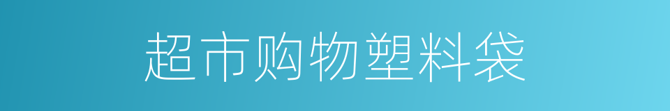 超市购物塑料袋的同义词