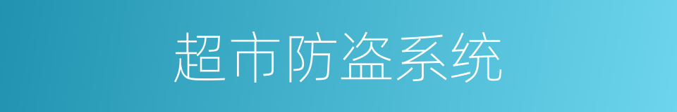 超市防盗系统的同义词
