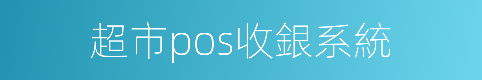 超市pos收銀系統的同義詞