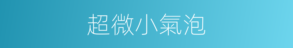 超微小氣泡的同義詞