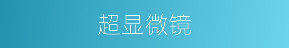 超显微镜的同义词