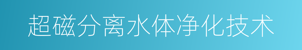 超磁分离水体净化技术的同义词