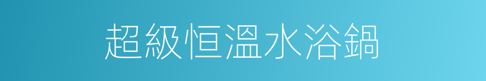 超級恒溫水浴鍋的同義詞