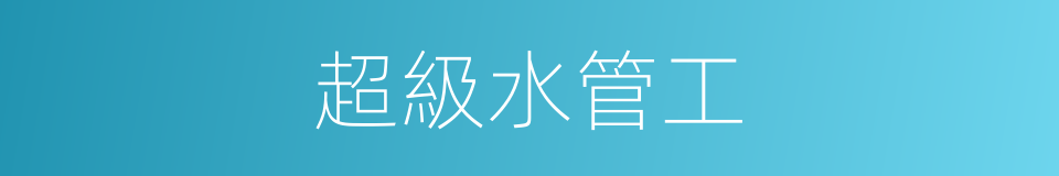 超級水管工的同義詞