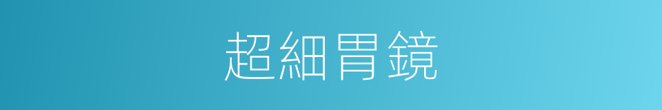 超細胃鏡的同義詞