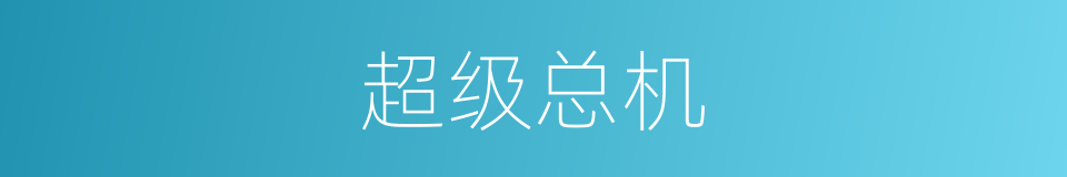 超级总机的同义词