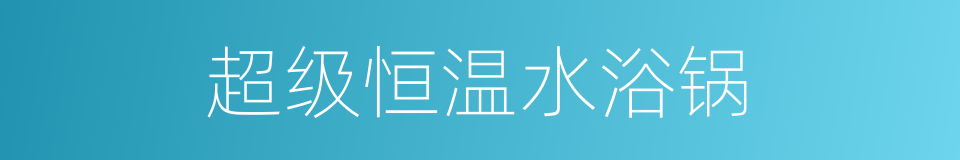 超级恒温水浴锅的同义词
