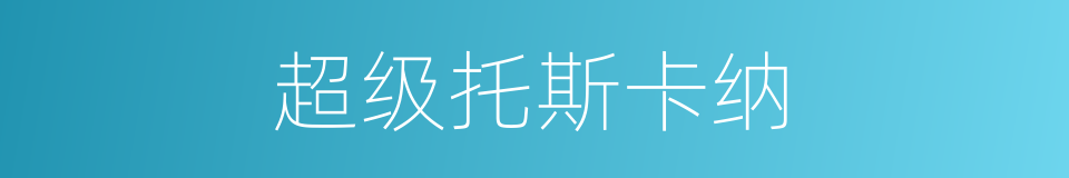 超级托斯卡纳的同义词