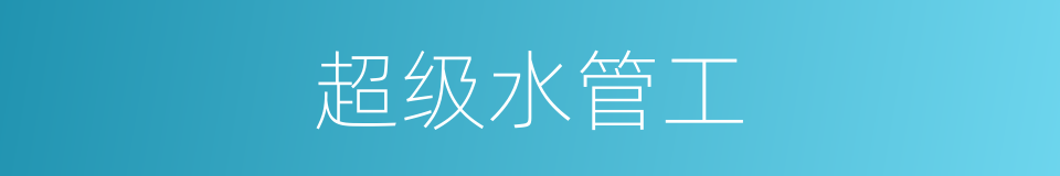 超级水管工的同义词