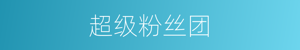 超级粉丝团的同义词