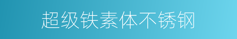 超级铁素体不锈钢的同义词