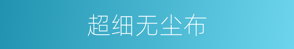 超细无尘布的同义词
