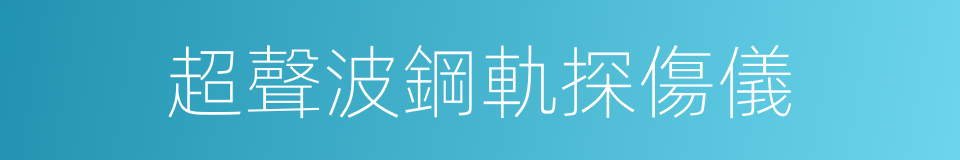 超聲波鋼軌探傷儀的同義詞
