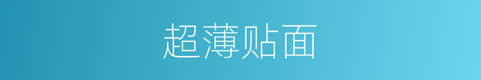 超薄贴面的同义词