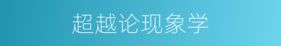 超越论现象学的同义词